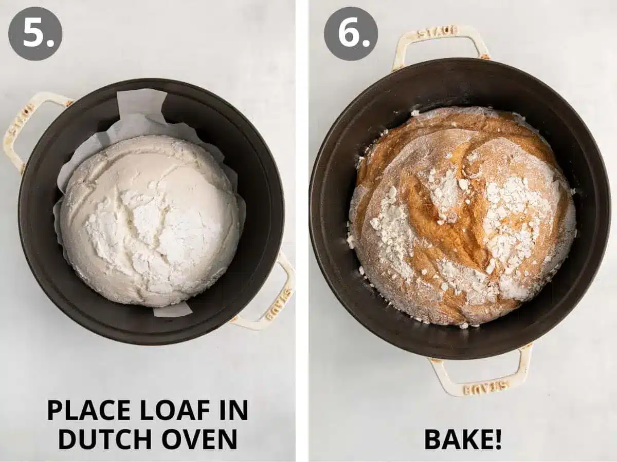Crusty Gluten-Free Artisan Bread (Only 5 Ingredients!) 5 crusty gluten free artisan bread only 5 ingredients 6