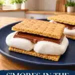 smores in the microwave recipnest